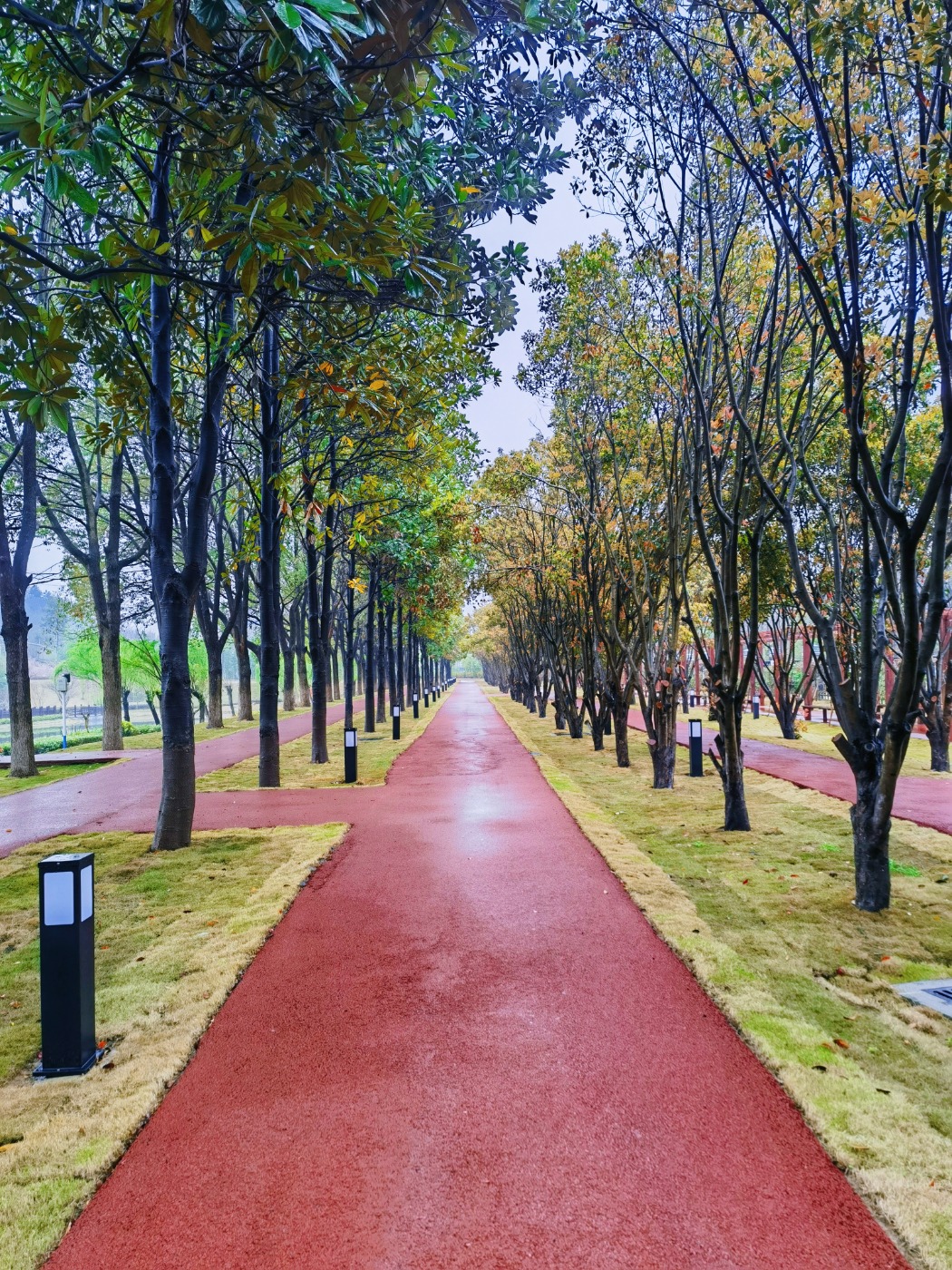 五_20240402161736.jpg